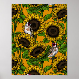 White rose flowers and goldfinch birds poster