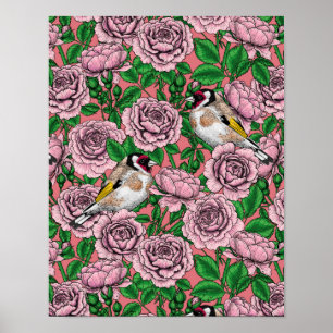White rose flowers and goldfinch birds poster