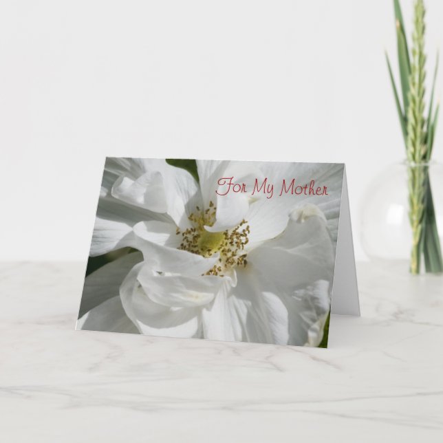 White Rose for Mum Card (Front)