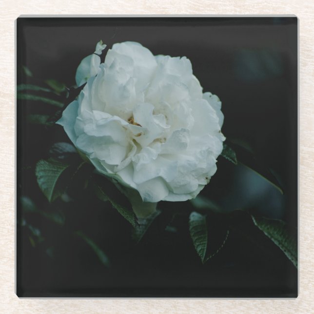 White Rose Glass Coaster (Front)
