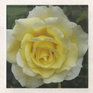 White Rose Glass Coaster