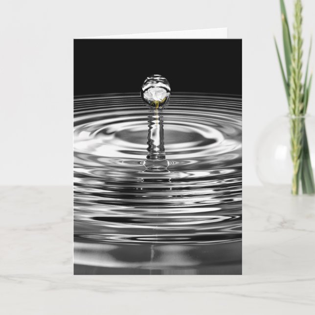 White Rose In Water Droplet Card (Front)