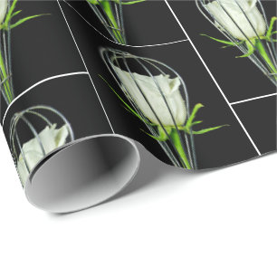 white rose in wire whisk wrapping paper