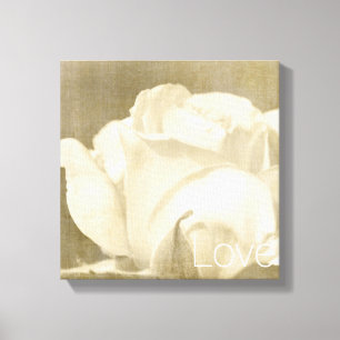 White Rose Love Canvas Print