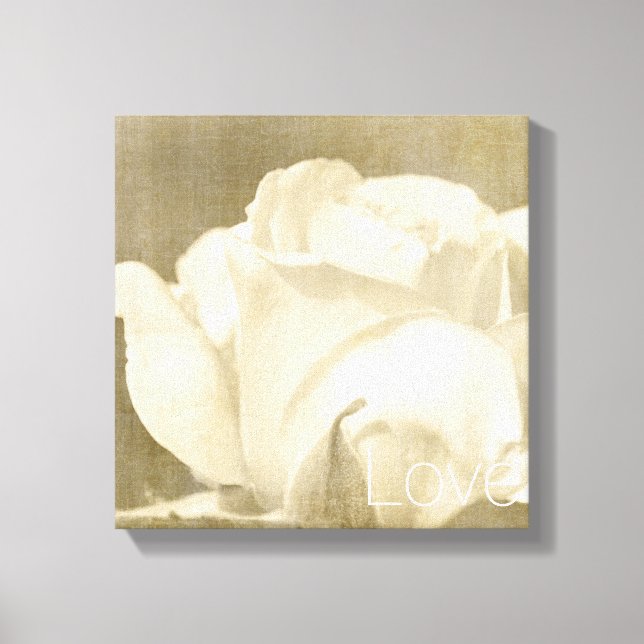 White Rose Love Canvas Print (Front)
