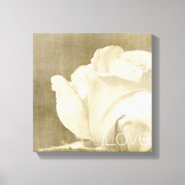 White Rose Love Canvas Print (Front)