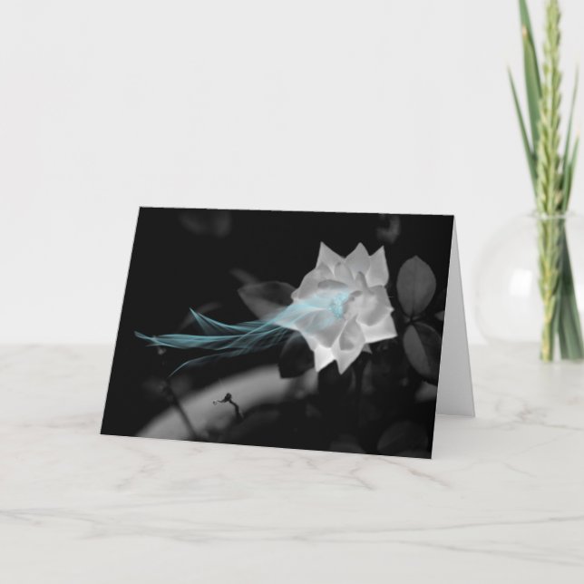White Rose Magic Photo Birthday Card (Front)