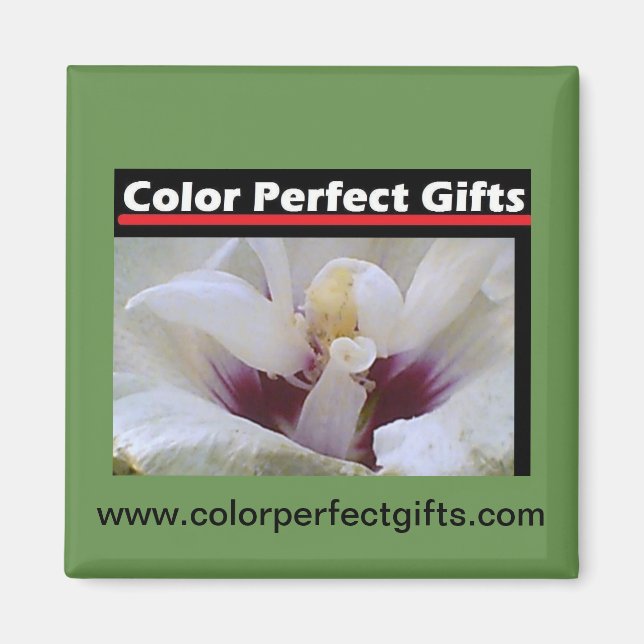 White Rose Magnet (Front)