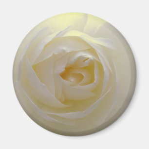 White Rose Magnet Flower Gifts Keepsake Decor