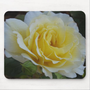 White Rose Mouse Mat