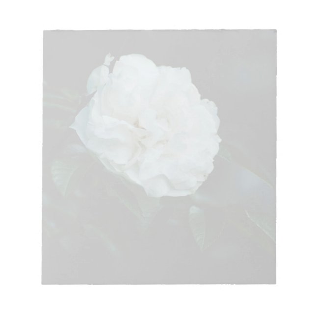 White Rose Notepad (Front)