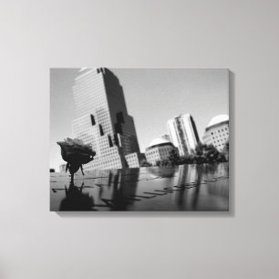 White rose of remembrance canvas print