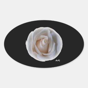 White Rose on Black Oval Sticker