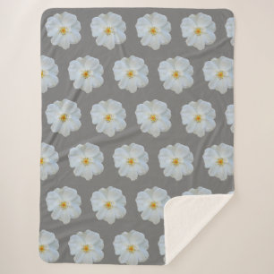 White rose on grey background. sherpa blanket