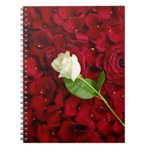 White Rose On Red Petals Notebook
