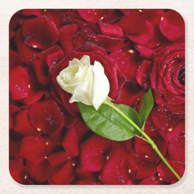White Rose On Red Petals Square Paper Coaster (Front)