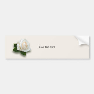 White Rose 'Pascali' Bumper Sticker