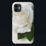 White Rose 'Pascali' iPhone 11 Case<br><div class="desc">Single White Rose
A single creamy white hybrid tea rose,  variety "Pascali",  sprinkled with dewdrops and resting on a spray of rose leaves.</div>