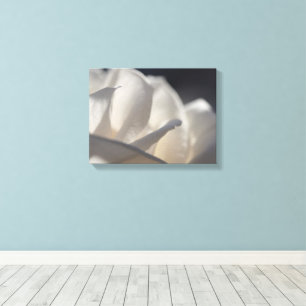 White Rose Petals Flower Canvas Print