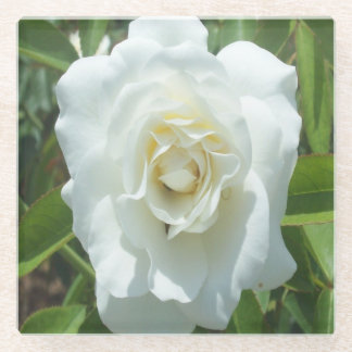 White Rose Photo Square Glass Coaster