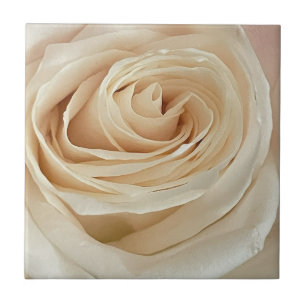 White Rose Photo Tile