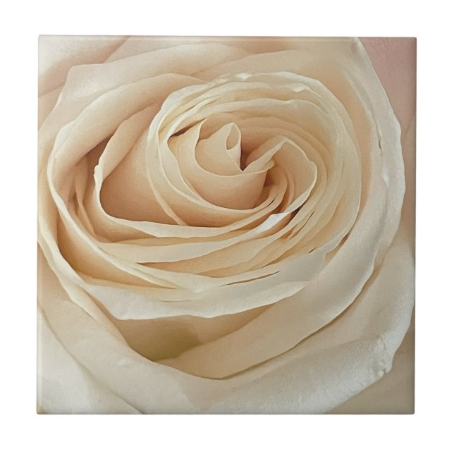 White Rose Photo Tile (Front)