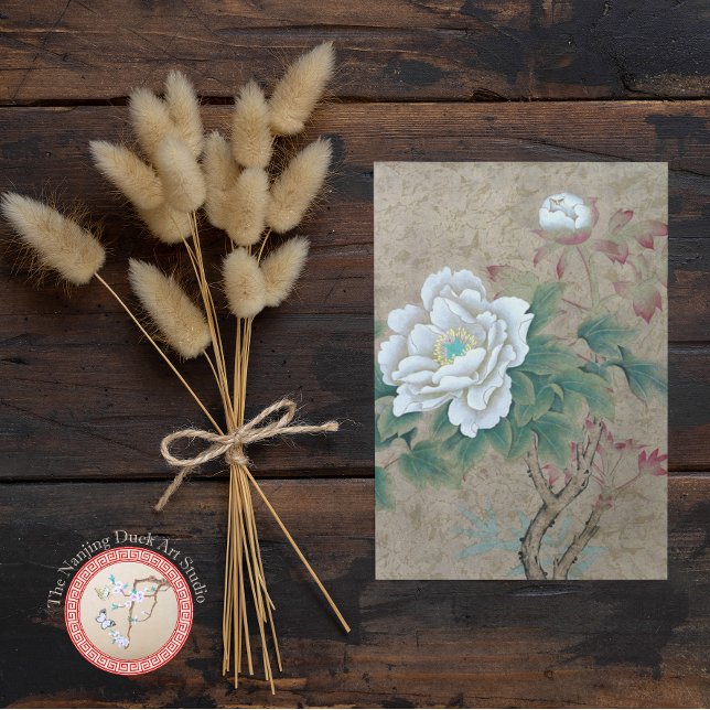 White Rose Postcard (Creator Uploaded)