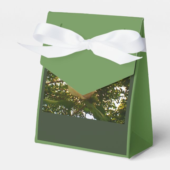 White Rose Ribbon Gift Favour Box (Front Side)