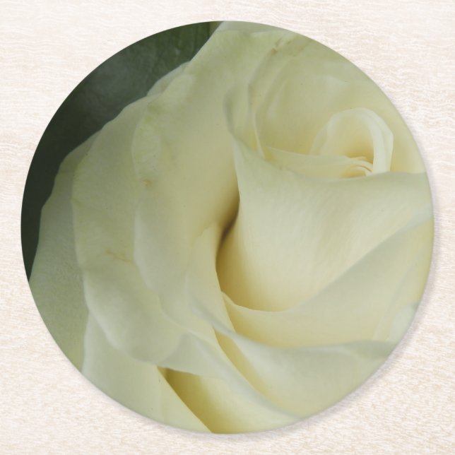 White Rose Round Paper Coaster (Front)