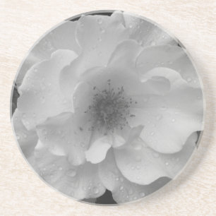 White Rose Sandstone Coasters