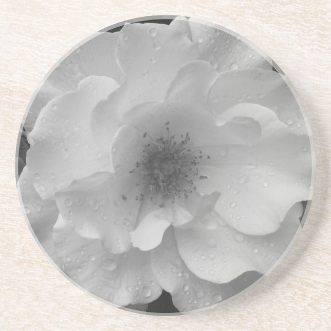 White Rose Sandstone Coasters (Front)
