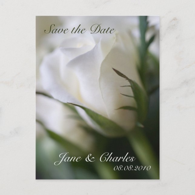 White Rose • Save the Date Postcard (Front)