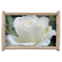 White Rose