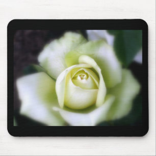 White Rose Soft Focus Mouse Mat