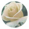 White Rose Sticker