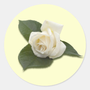 White Rose Sticker