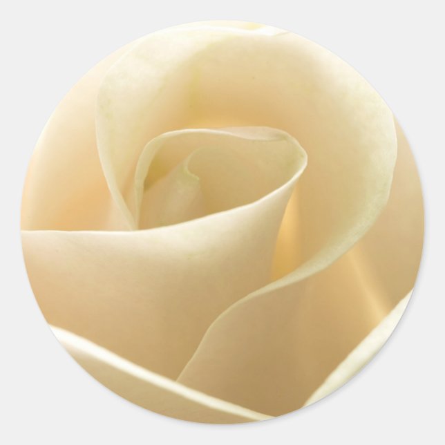 White Rose stickers (Front)