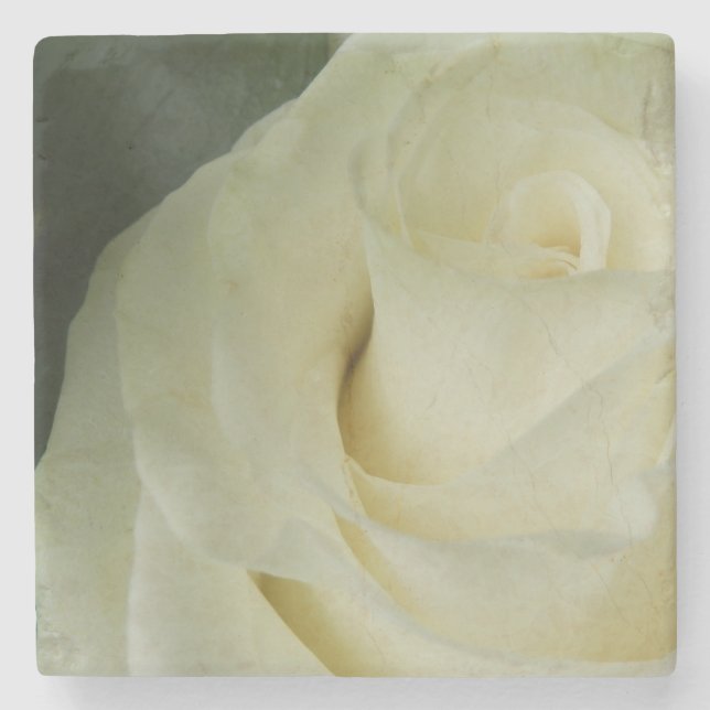 White Rose Stone Coaster (Front)