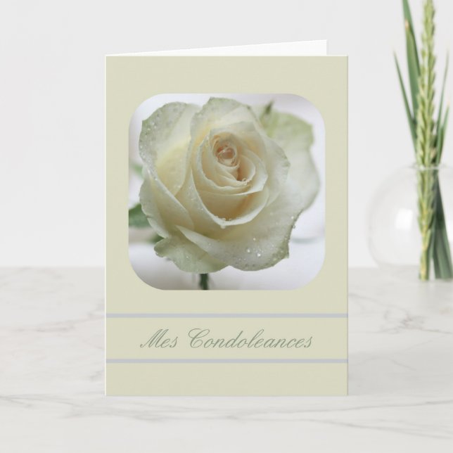 white rose sympathy card french (Front)