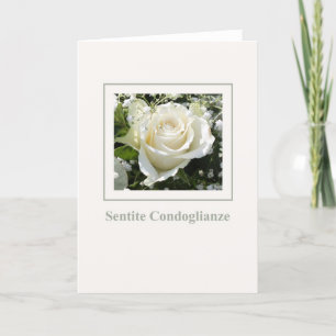 white rose sympathy card italian