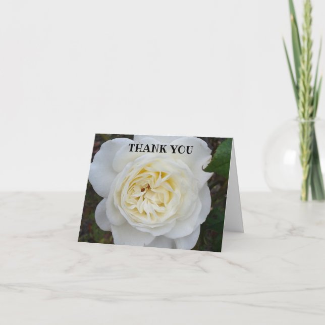 White Rose Thank You Card (Front)