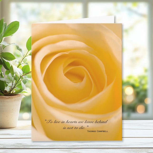 White Rose Thank You for Your Sympathy (Creator Uploaded)