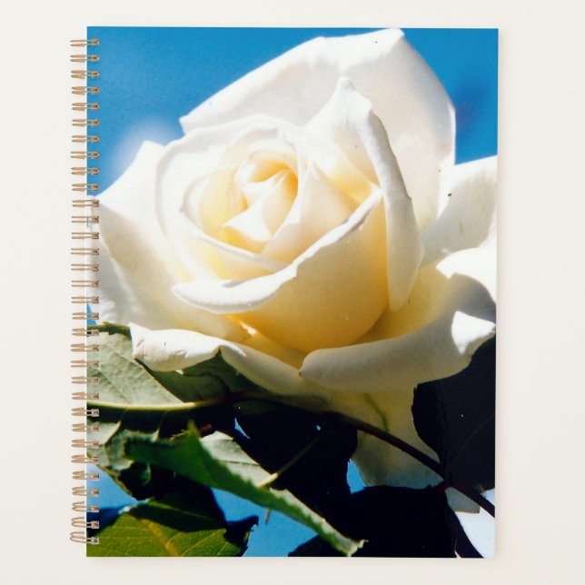 White rose under blue sky  planner (Front)