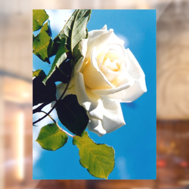 White rose under blue sky   window cling (Sheet 2)