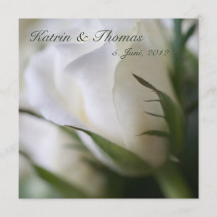 White rose ・ wedding invitation
