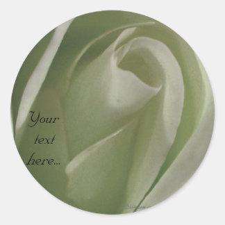 White Rose Wedding Stickers /Round Labels