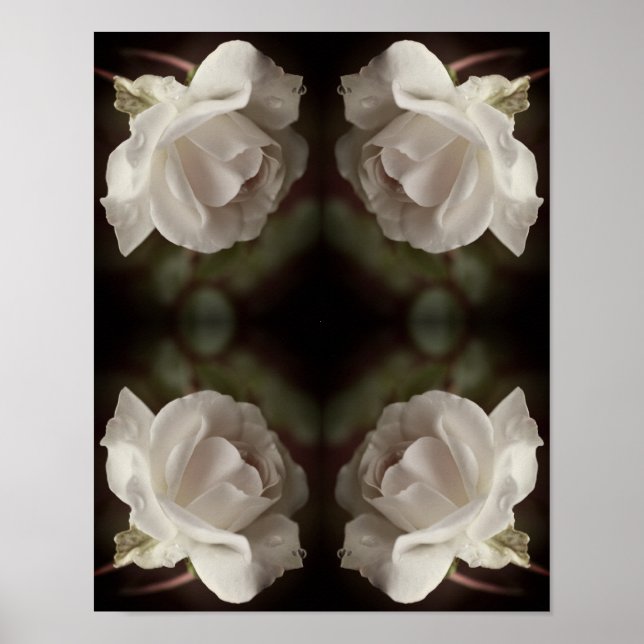 White Rose With Raindrops Abstract Vintage Poster (Front)