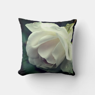 White Rose With Raindrops Floral Cushion