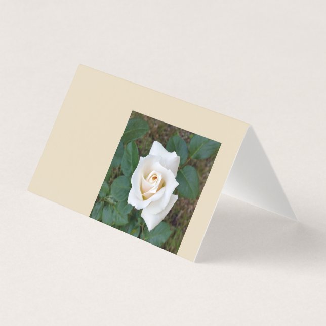 white rosebud (Front)