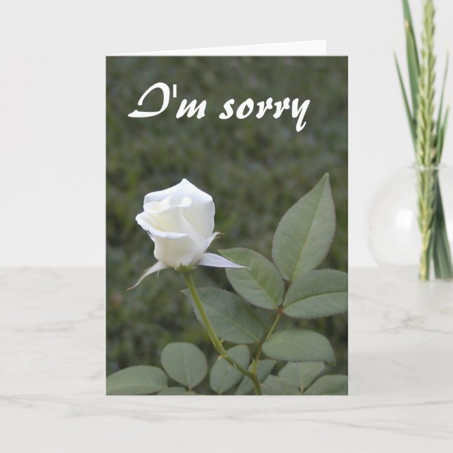 White rosebud apology card (Front)